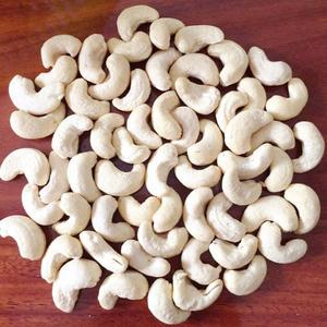 Cashew SP